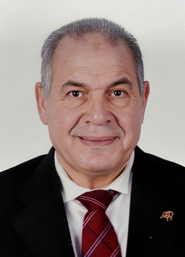 Abdelnaser Abdelrehem - Co-Founder & COO at BEMS Oil Services